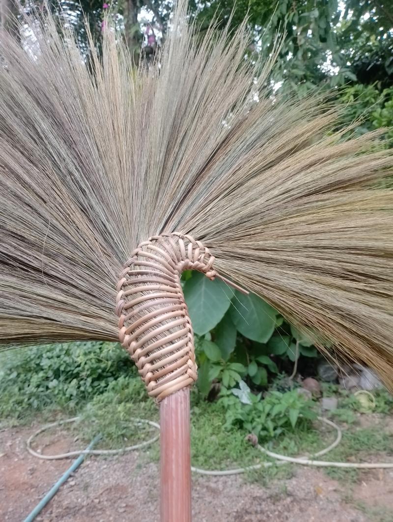 ไม้กวาดดอกหญ้า