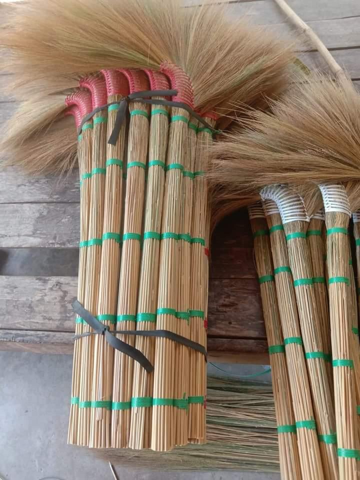 ไม้กวาดดอกอ้อชุมพร